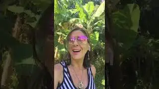 Maui Vacation- NO AIR BNB OR VRBO FEES HERE!!!