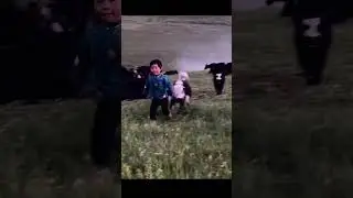 Happy and enjoying #trending #animallife #viralvideo