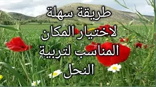 طريقة سهلة لاختيار المكان المناسب لتربية النحل