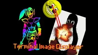 Terminal Image Displayer showcase!