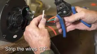 Elite Motors - 1 HP Painted 56 Frame Boat Lift Motor - 220v Wiring