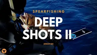 Alchemy Spearfishing | DeepShots | Part 2
