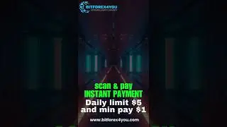 BITFOREX VIDEO