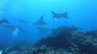 Best of Maldives, September 2020, Emperor Serenity