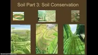 5.3 Part 2 Conservation