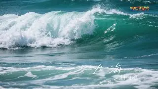 林栖 - 大海 (深情版) - Lin Qi - Da Hai