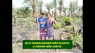 ROÇA DA JANAINA ESTA PLANTADA É SÓ AGUARDAR UM BOM INVERNO