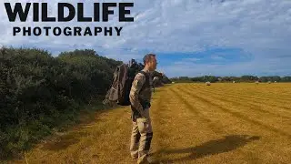 Wildlife Photography Vlog | Mammals & Birds | On my local Nature Reserve | Cornwall