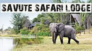 SAVUTE SAFARI LODGE CHOBE NATIONAL PARK BOTSWANA SOUTHERN AFRICA