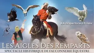 Les Aigles des Remparts - B.A spectacle - Provins 77