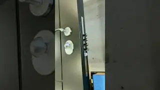 Armadillo Deluxe: Steel Front Entry Door Built to Stop Intruders