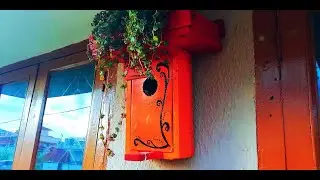 How to make bird house from waste  material