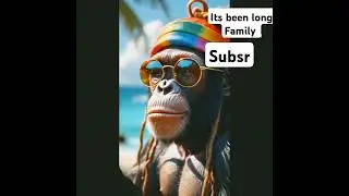 ape chill #reggae #music