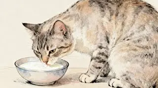 The Truth About Cats and Milk Revealed