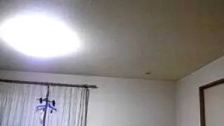 bat entered the house.