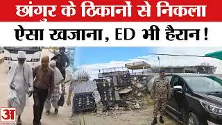 ED Raids Chhangur Baba:सोना-नकदी और लग्जरी गाड़ियां, छांगुर बाबा के ठिकानों से ED को क्या-क्या मिला?