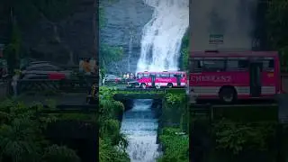 cheeyappara waterfalls#shorts #shortsvideo