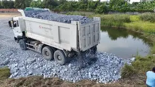 Excellent work!! fill Flooded Massive area using Dump trucks with KOMATSU dozer