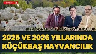 2025 VE 2026 YILLARINDA KÜÇÜKBAŞ HAYVANCILIK I RIZA DÖNMEZ İLE İDEAL KOYUNCULUK