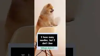 #riddles #dogslife #dogsoffacebook #dogsofinsta #funnyanimalvideos #dadjokes #lovepuppies #pets #dog