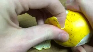 How To Quickly Peel An Orange Without A Knife Or Teeth