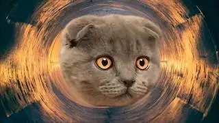 Reducing Hole for the Cat. When will he stop?