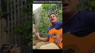 What's Going On - Marvin Gaye  #reels #marvingaye #rnb #guitar #soul #cover #chill #music #oldschool