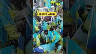 #герої #2025 #war #війна #україна #ukraine #боротьба #shorts #freedom #свобода #воля #share #top