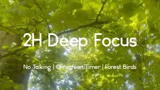 Forest Birds in Spring &ndash; 2H Focus Session With Nature Sounds For Deep Work