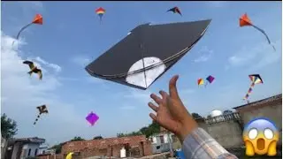 Patang loot li 🪁 ll Kite Catching ll Cought kite ll Kite Fighting ll #kite #kitecatching 