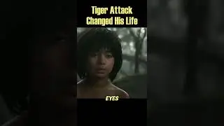 Tiger Attack That Changed Everything 🐅🔥 #movie #recap