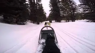 Good Times Adventures