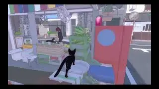 little kitty big city long play