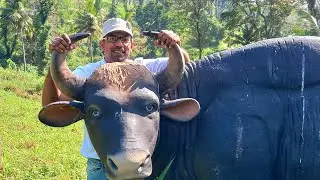 Lets's Explore Unseen Kollam - Kuriottumala Hightech Diary Farm