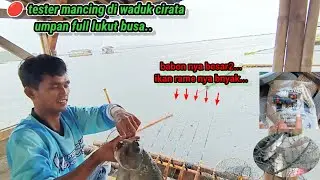 🔴 Mancing Cirata terbaru//umpan full lukut.. Babon nya besar2.. Ikan rame nya banyak... 