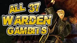 2019 All LOTRO Warden Gambit Animations