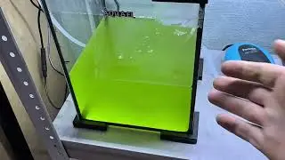 Перевод креветки  амано  на пресную воду. 