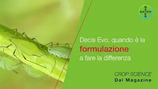 Dal Magazine - Decis Evo, quando &egrave; la formulazione a fare la differenza