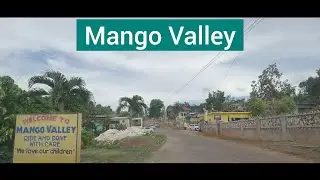 Mango Valley, St Mary, Jamaica - Part 1