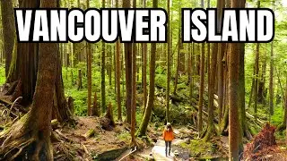 LUGAR MÁGICO en la ISLA de VANCOUVER🇨🇦 EMBARCAMOS LA FURGONETA EN EL FERRY 🚐 EXPLORAMOS LAS PLAYAS🌲