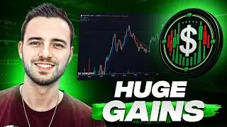 Top Indicator Trading : Trade Like a Pro With The Signaler!