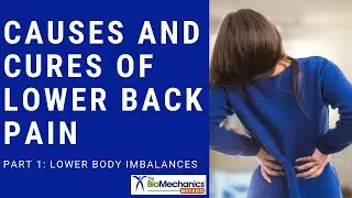 Causes and Cures of Lower Back Pain: Part 1 - Lower Body Imbalances
