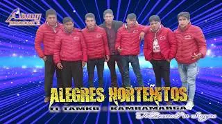 Dedicatoria al Mediombiente (Conga) Alegres Norte&ntilde;itos de YB-El Tambo