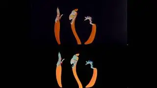 The Thief and the Cobbler - German Trailer & Mbps/Japanese DVD Comparison
