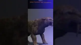 Top 10 Extinct Animals You Won't Believe Existed