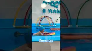 Водоплавающая уточка