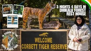 🇮🇳 Dhikala Forest Rest House | Corbett Tiger Reserve 🐯 | Jim Corbett National Park | New FRH