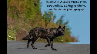 Seattle-Canada-Alaska Photography Trek.  A 5000mile, 18day roadtrip  in July 2025.