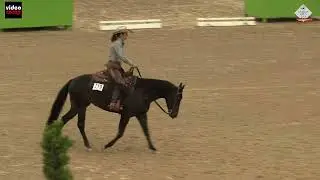 German Open 2021 Junior Ranch Riding Vorlauf, Henrike Lindenblatt mit BCR Ruf N Sparkling, Score 212