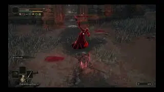NPC Invader - Anastasia - Caelid